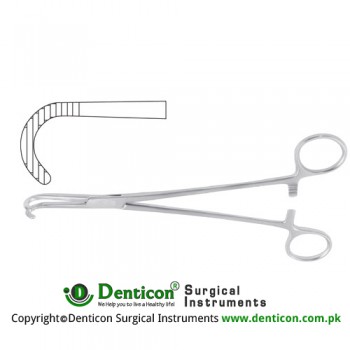 Desjardins Bile Duct Clamp Curved Downards Stainless Steel, 21 cm - 8 1/4"